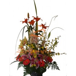 Lirios, Herberas, Cymbidium, Onc