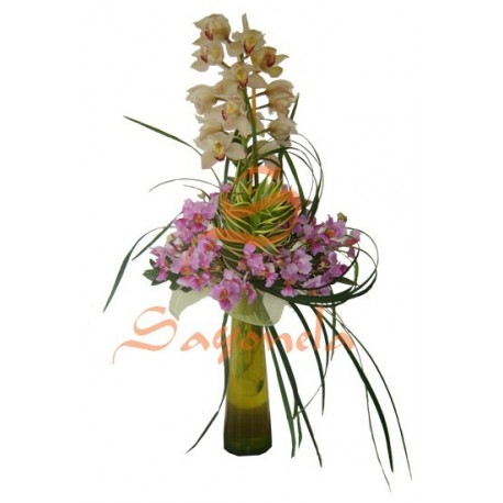Orquídeas Hawaianas en tubo de vidrio