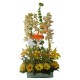 Orquídeas y Gerberas