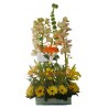 Orquídeas y Gerberas