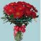 Gerberas rojas