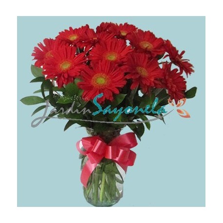 Gerberas rojas