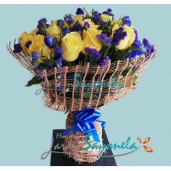 Rosas y Azules