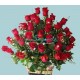 Rosas Rojas