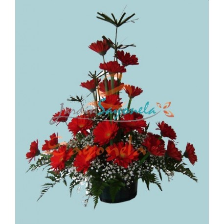 Gerberas Rojas