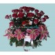 Rosas y Lirios