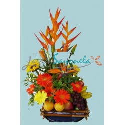 Opalos, Gerberas y Frutas