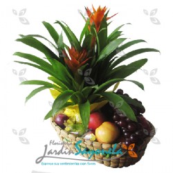 Planta de Bromelia y frutas