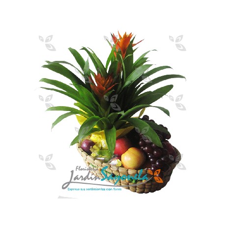 Planta de Bromelia