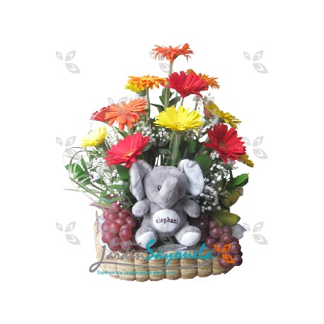 Canasta de Gerberas, frutas y peluche