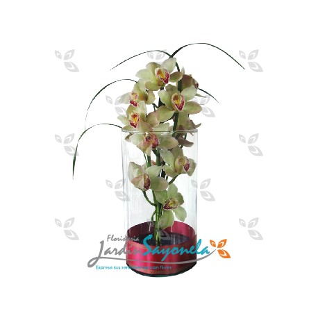Tubo con Orquideas