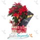Especial Navidad