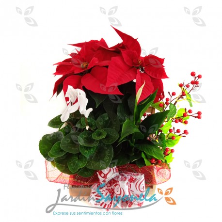 Jardín Navideño
