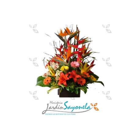 Colombia en Flores
