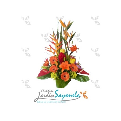 Belleza Exotica