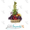 Cymbidium y Frutas