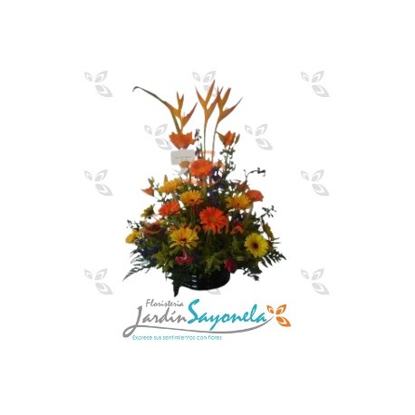 Aves del Paraíso, Gerberas, Lirios y Opalos