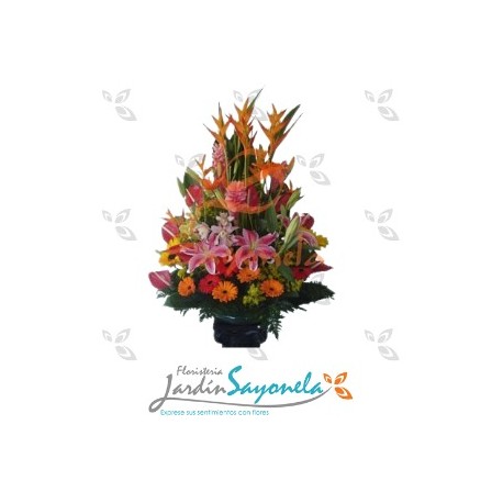 Flores Exóticas 2